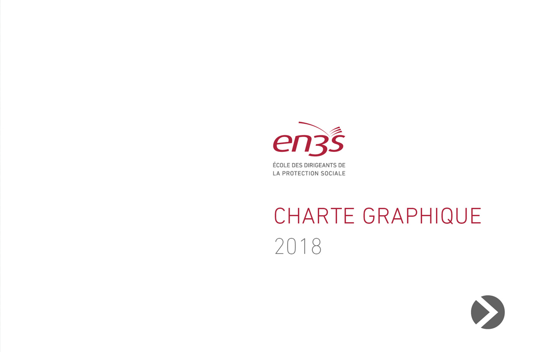 Logo et charte graphique de l’En3s